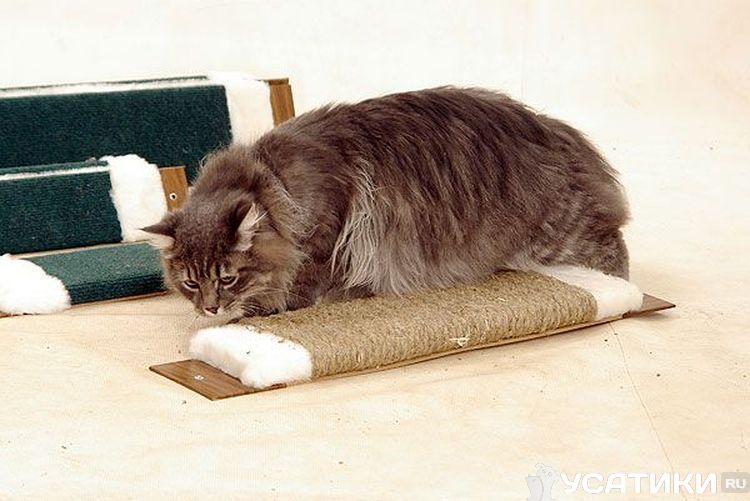 Rascador plano tipo tabla