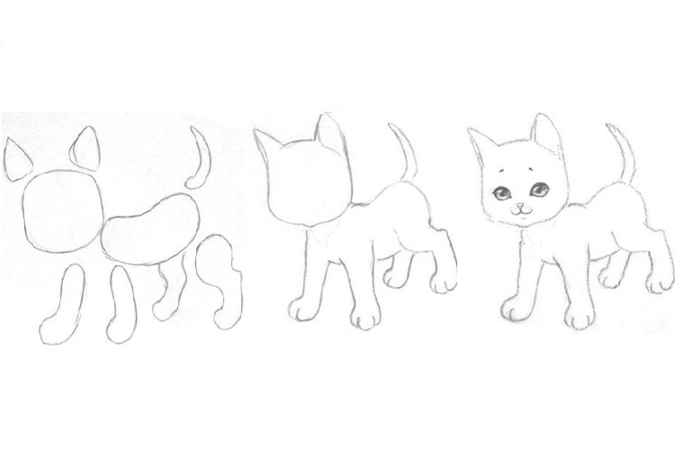 Primera fase del dibujo de un gatito