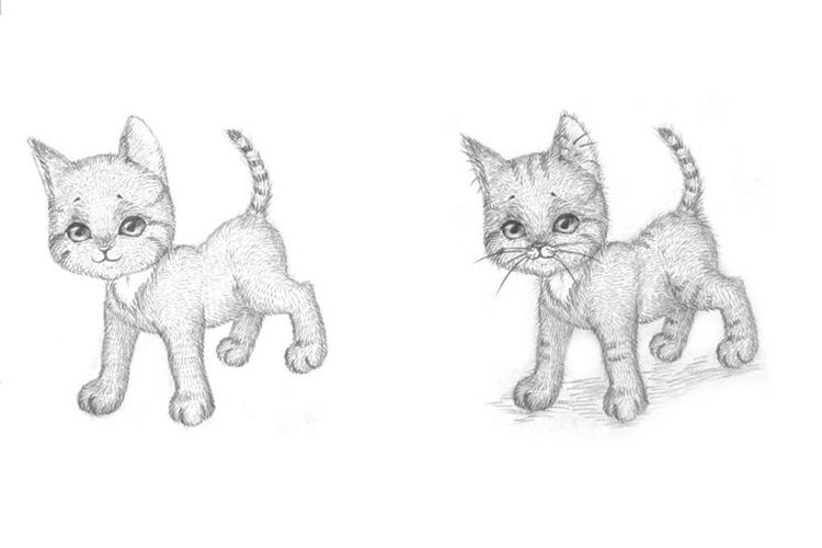 Segunda fase del dibujo de un gatito