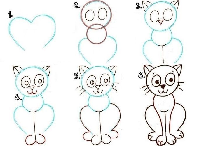 Gato astuto