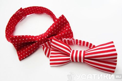 Collar de pajarita para gato