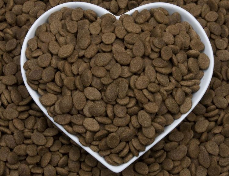 Alimento para perros Barking Heads Senior Dog