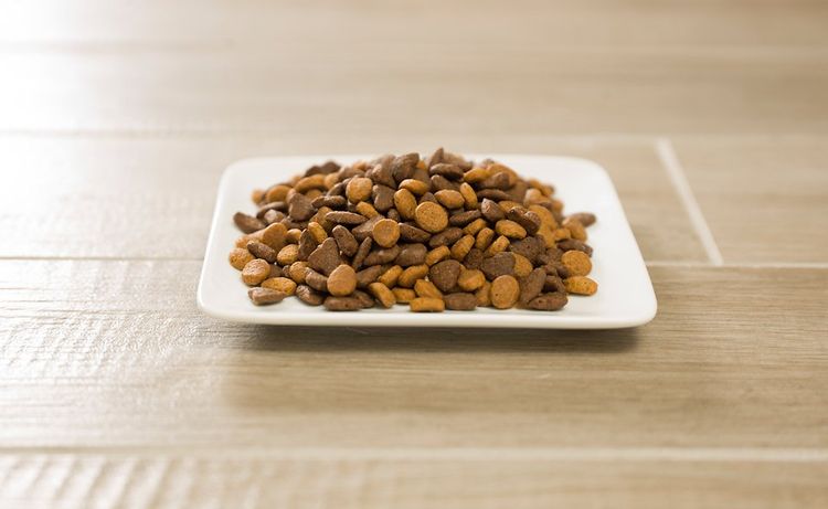 Comida seca Dr. Clauder para gatos
