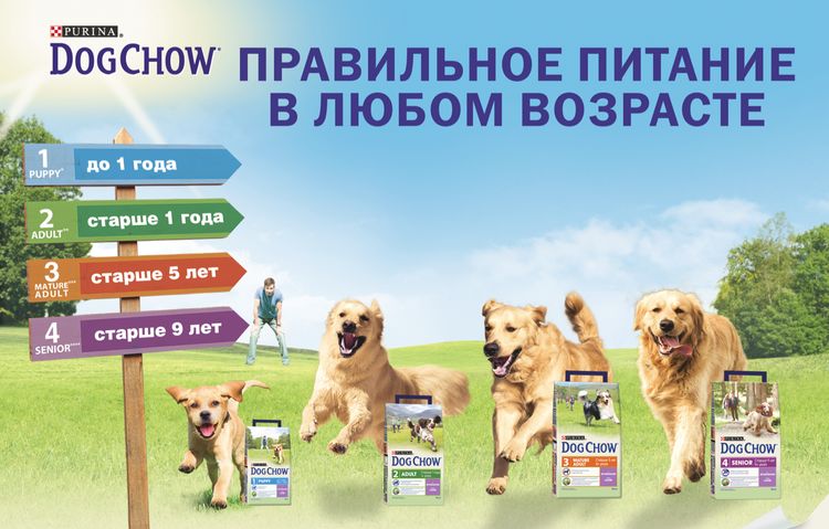 Gama Dog Chow