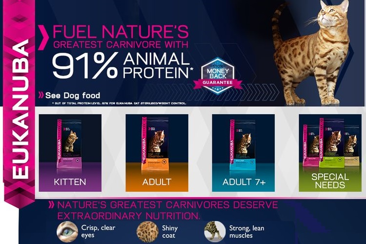 Gama de piensos Eukanuba para gatos