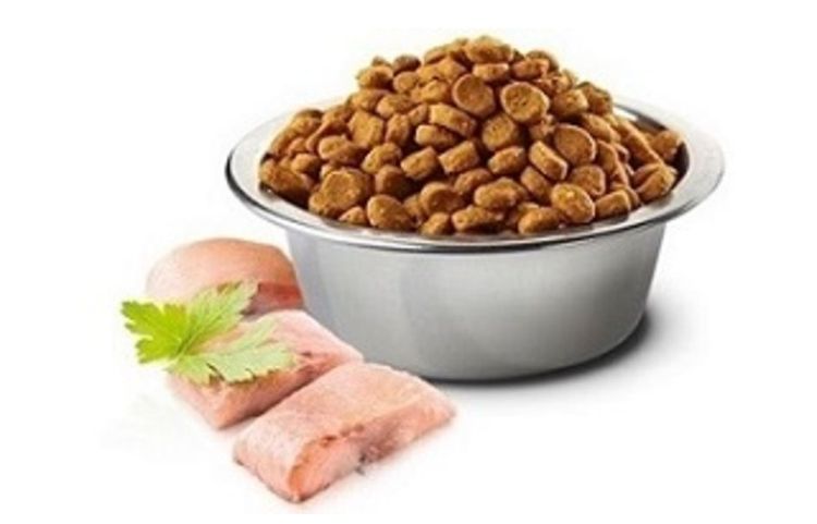 Pienso seco para perros con pescado
