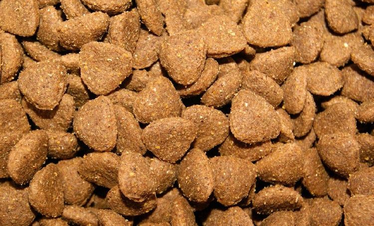 Pienso seco para perros Gemon
