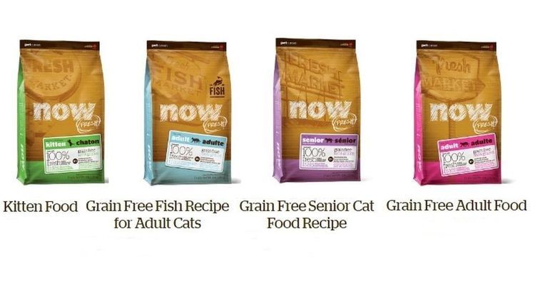 Surtido de alimentos Now para gatos