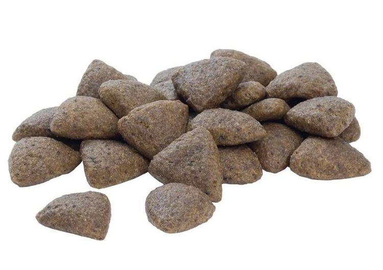 Gránulos del alimento Pro Plan para perros