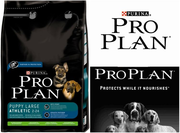Comida Pro Plan para perros