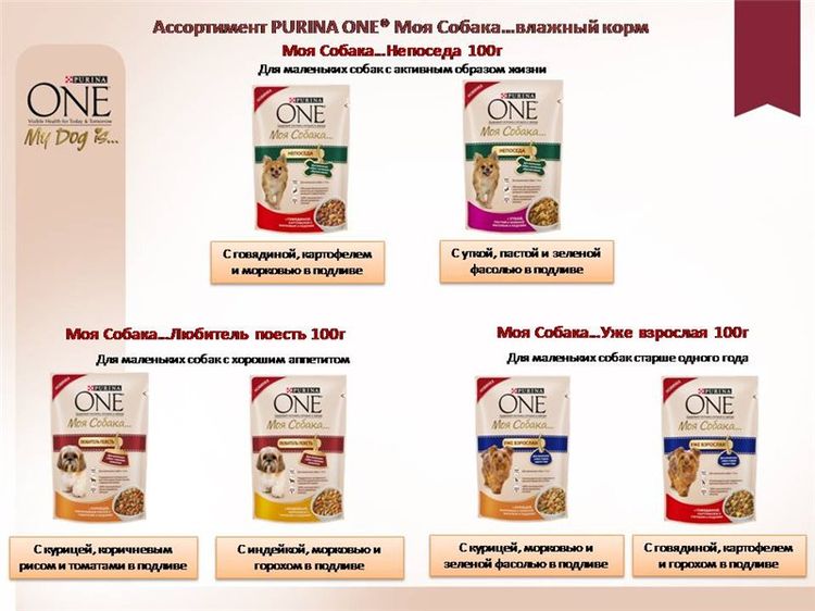 Distintos tipos de alimento