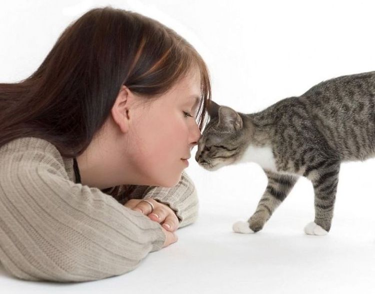 Gata y niña