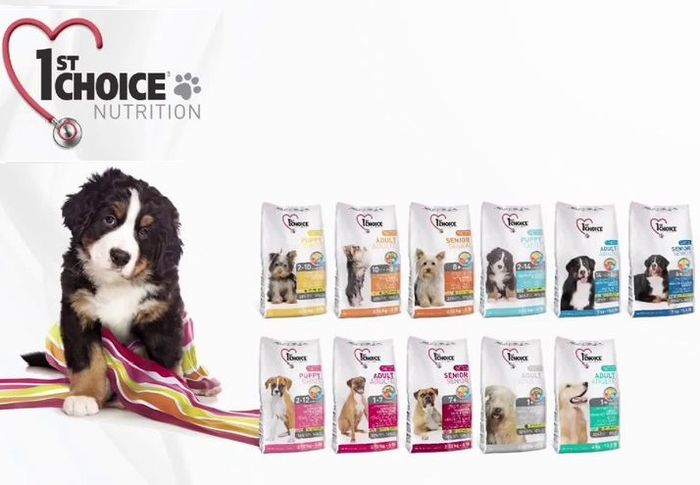 Alimentos 1st choice