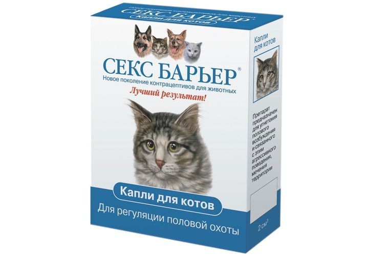 Sex Barrier para gatos