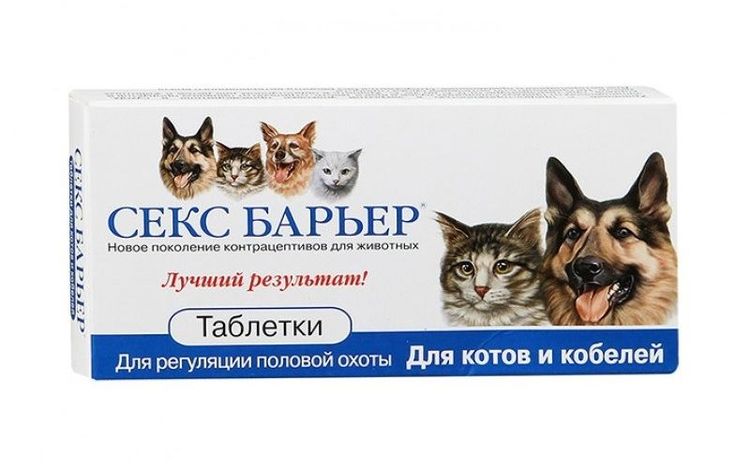 Sex Barrier para gatos
