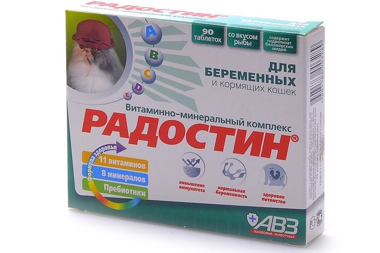 Vitaminas para gatas gestantes