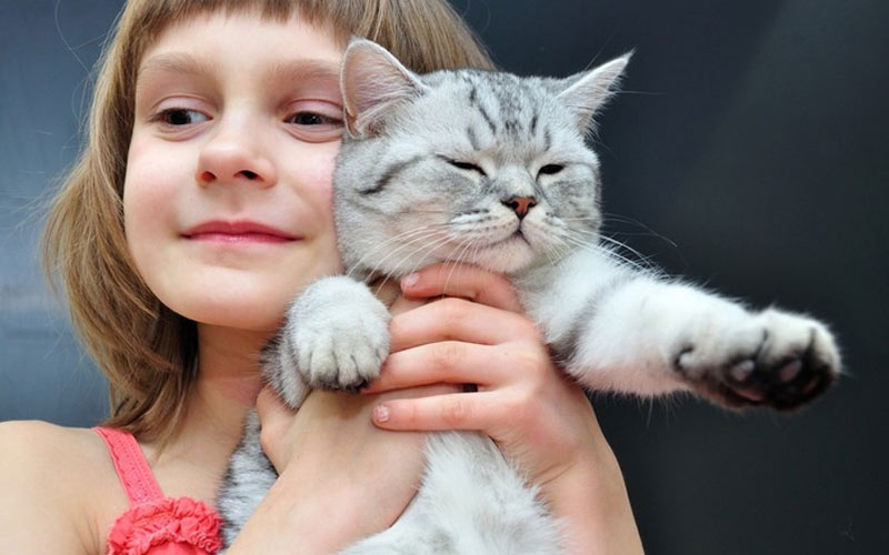 ¿Qué peligro tiene la toxoplasmosis? Mitos y realidad