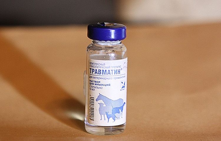 Travmatin para gatos