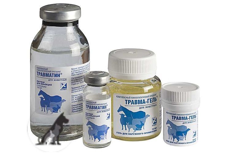 Travmatin para gatos