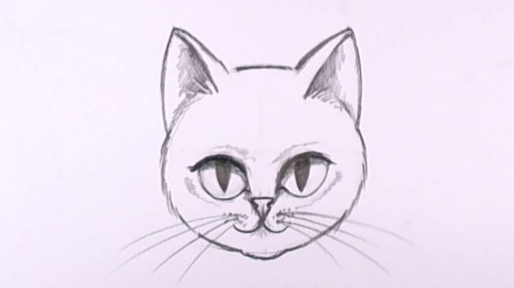 Cara de gato dibujada a lápiz