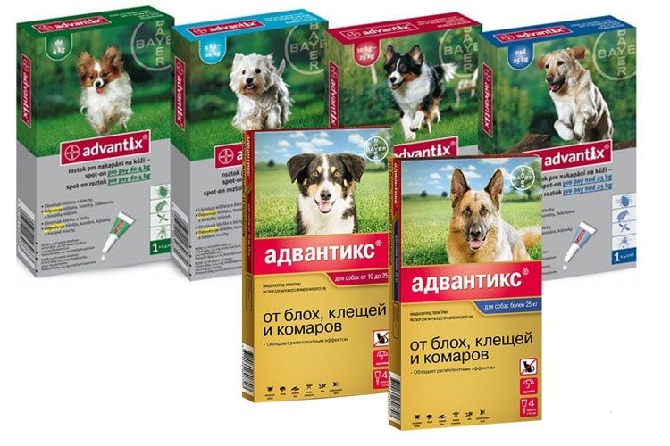 Gama de Advantix para perros
