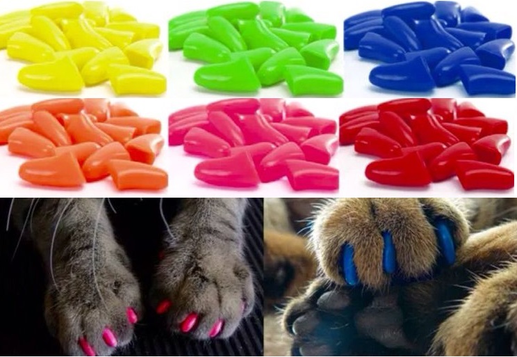 Tipos de protectores según el color