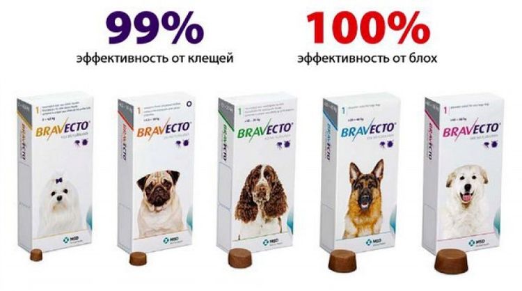 Variedad de Bravecto