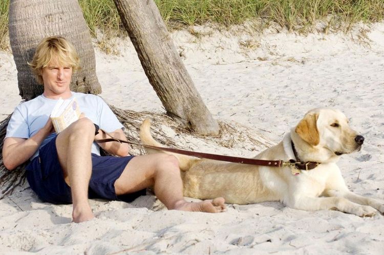 Hombre y labrador en la playa