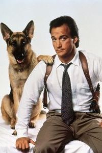 Cartel de K-9: Trabajo de perros