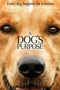Una vida de perro (película)