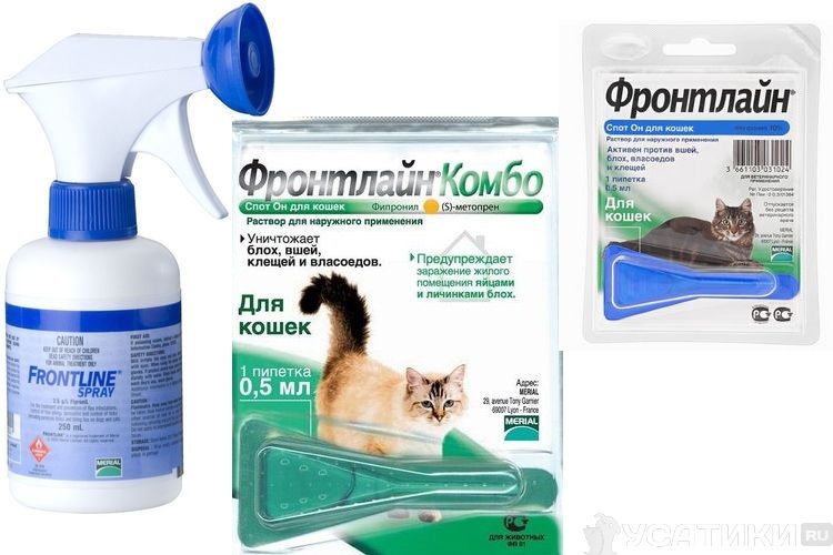 Presentaciones de los productos