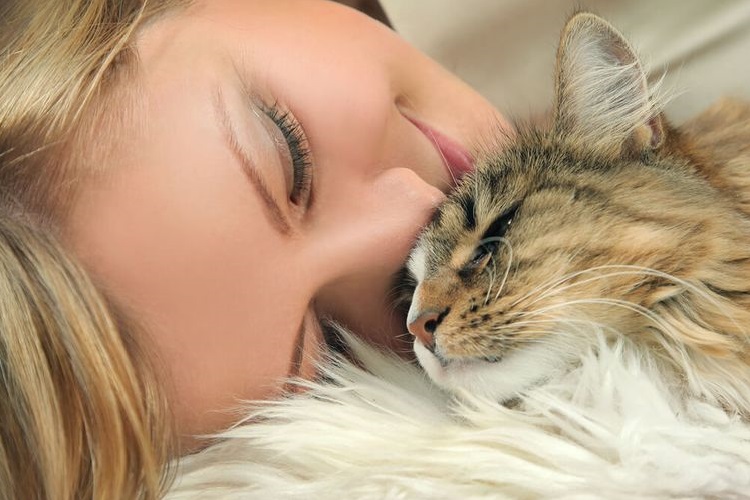 Una joven abraza a un gato esponjoso