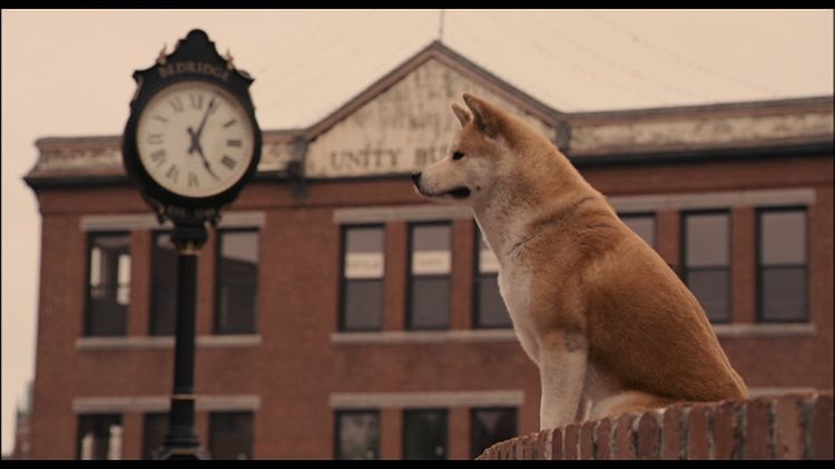 El perro junto al reloj