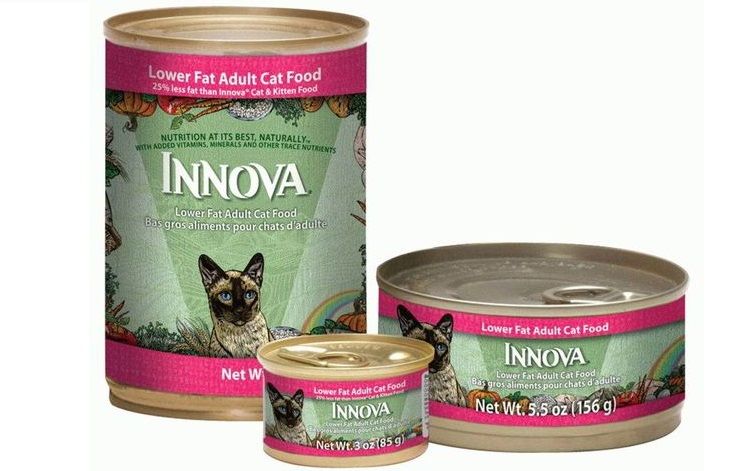 Conservas para gatos Innova