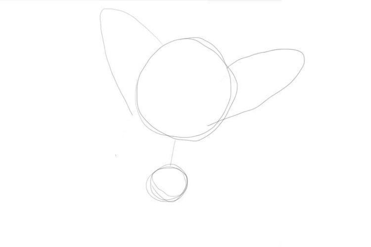 Boceto del cachorro Barboskin