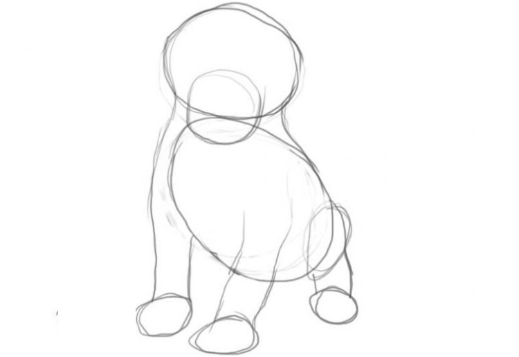 Dibujo de un perro a lápiz