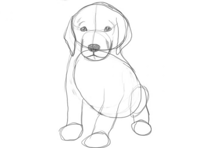 Dibujo de un perro a lápiz