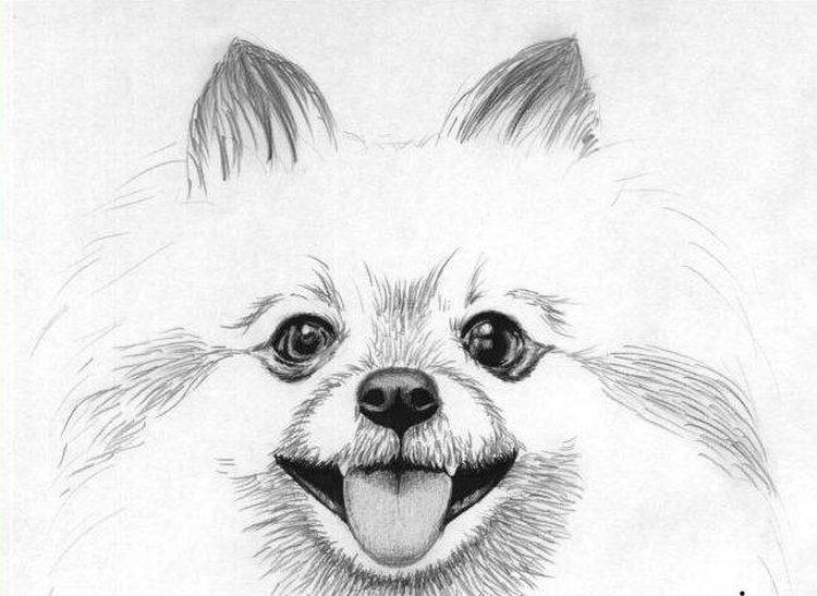 Boceto terminado
