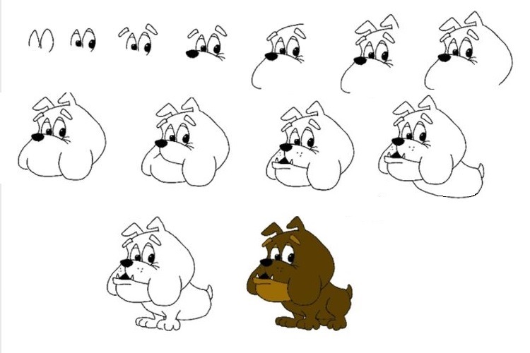 Boceto paso a paso del bulldog
