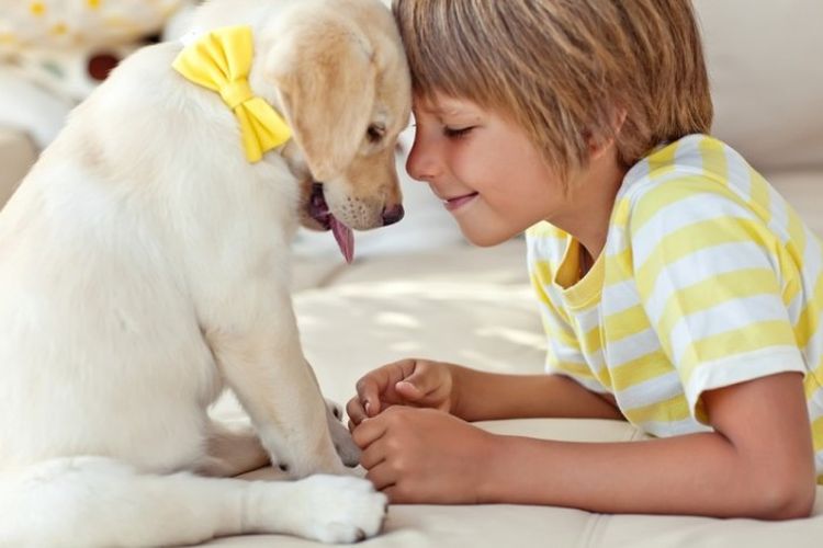 Niño y cachorro con lazo