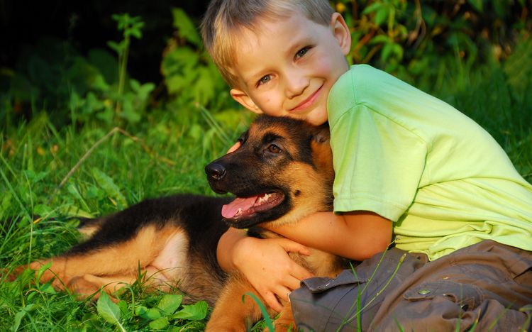 Un niño abraza a un cachorro de pastor alemán