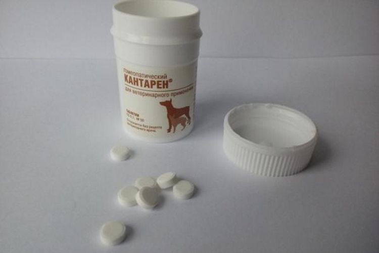 Pastillas Kantaren