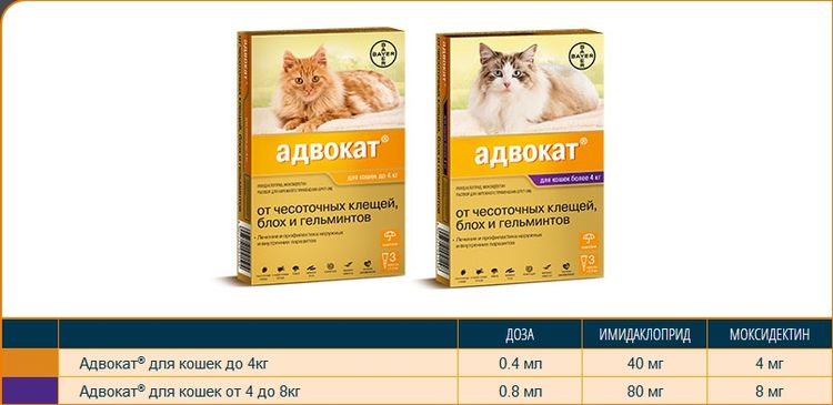 Gotas Advocate para gatos