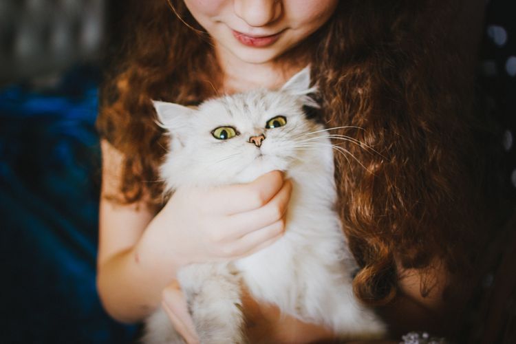 Gato blanco en brazos de una niña