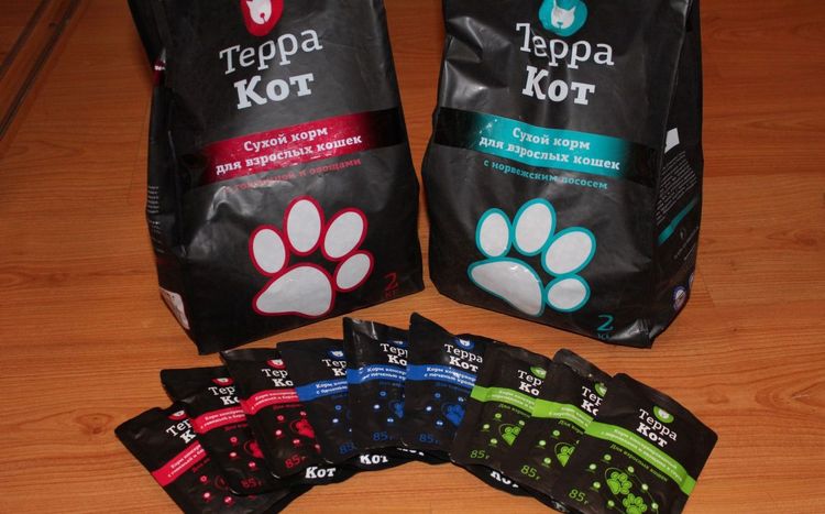 Comida para gatos Terracot