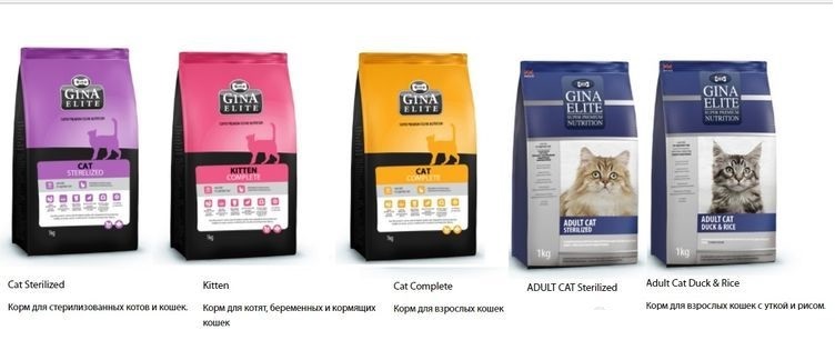 Variedad de alimentos Gina