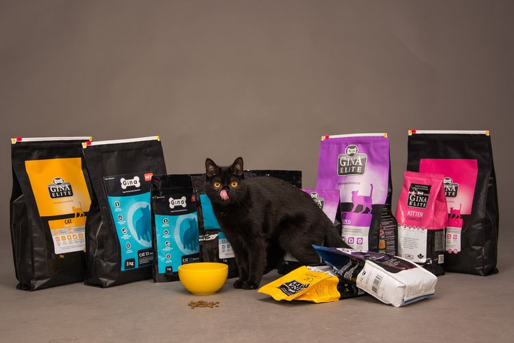 Gato negro junto a paquetes de comida