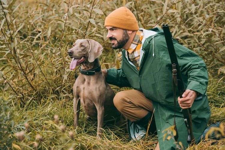Perro con su dueño en la cacería
