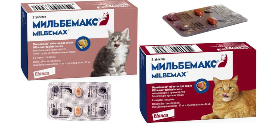 Milbemax (Milbemax) – ein entwurmendes Tablettenpräparat für Katzen