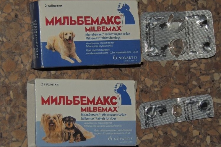 Comprimidos de Milbemax para perros y cachorros